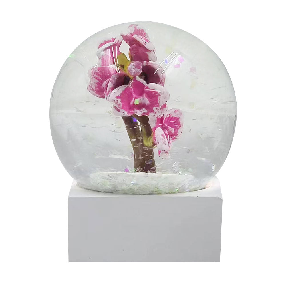 Orchid Water Globe – Missouri Botanical Garden