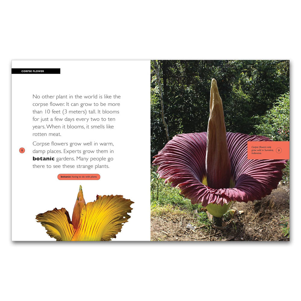 Corpse Flower