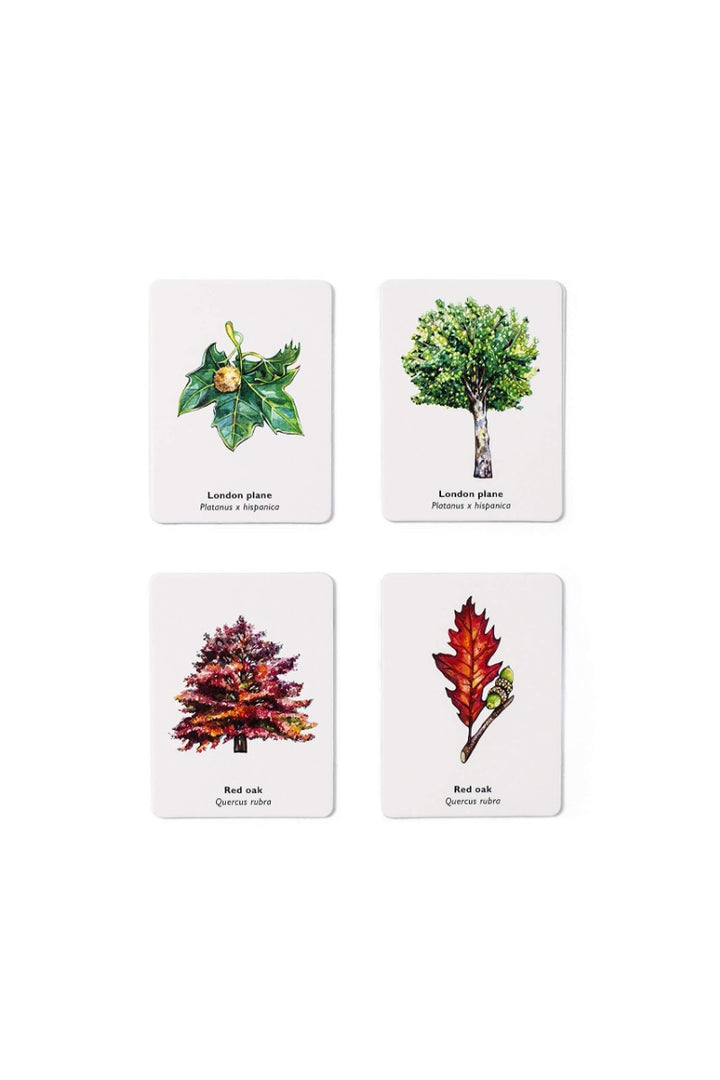 Match a Leaf: A Tree Memory Game