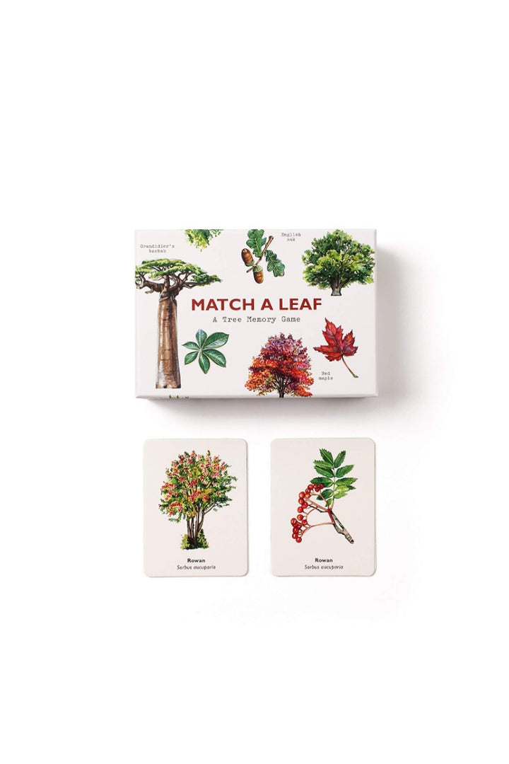 Match a Leaf: A Tree Memory Game